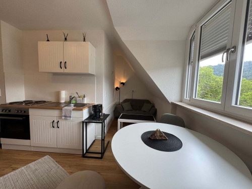 Apartment in Schwarzwaldstraße, Freiburg im Breisgau for 25 m² - Gallery - 10