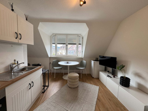 Apartment in Schwarzwaldstraße, Freiburg im Breisgau for 25 m² - Gallery - 5