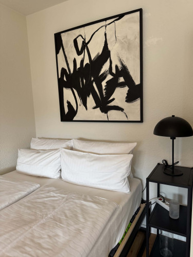 Apartment in Schwarzwaldstraße, Freiburg im Breisgau for 25 m²