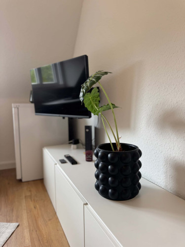 Apartment in Schwarzwaldstraße, Freiburg im Breisgau for 25 m² - Gallery - 6
