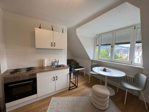 Apartment in Schwarzwaldstraße, Freiburg im Breisgau for 25 m²