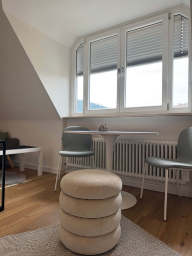 Apartment in Schwarzwaldstraße, Freiburg im Breisgau for 25 m² - Gallery - 8