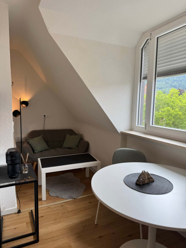 Apartment in Schwarzwaldstraße, Freiburg im Breisgau for 25 m² - Gallery - 9