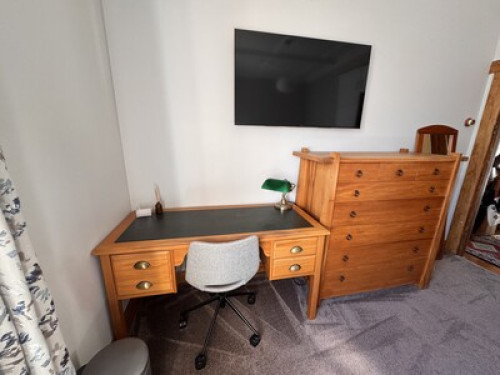 Cat & comfort in Mt Eden - Gallery - 5