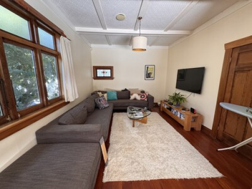 Cat & comfort in Mt Eden