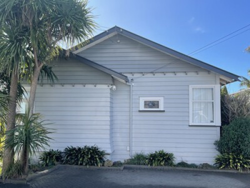 Cat & comfort in Mt Eden