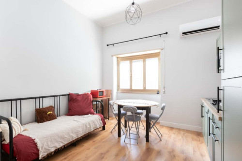 (RM) ARPINO  - Gallery -  5