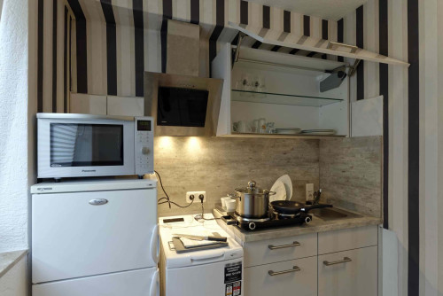 Apartment in Neukelsterbacher Straße, Kelsterbach for 35 m²  - Gallery -  5