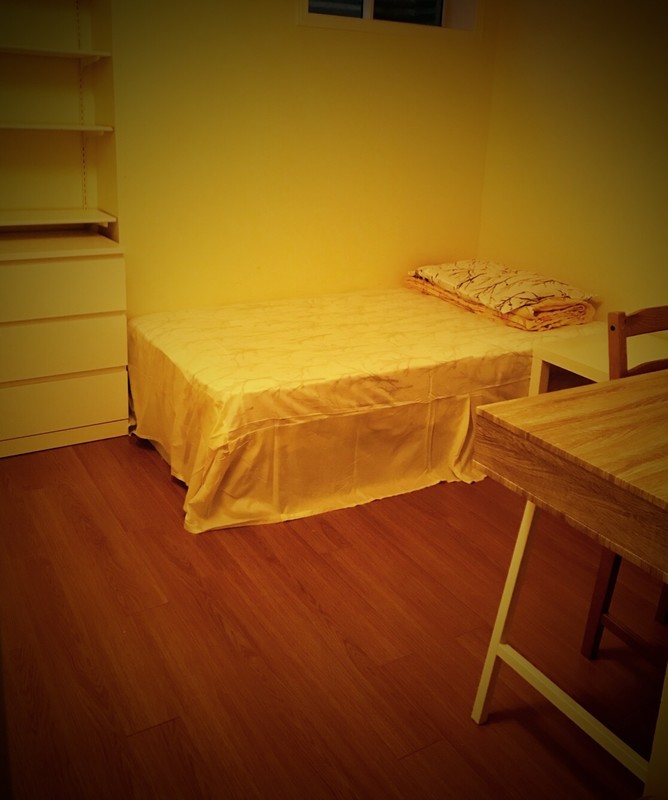  Lulu Queen (Full Room)  -  Lulu’s home   - Gallery -  1