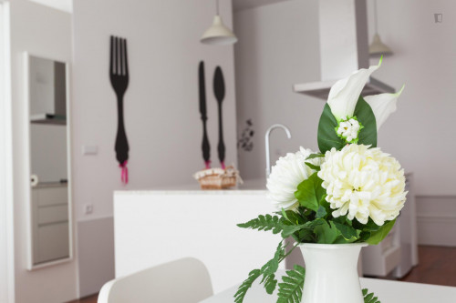 Pleasant 1-bedroom apartment in Cedofeita