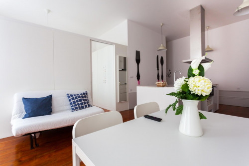 Pleasant 1-bedroom apartment in Cedofeita