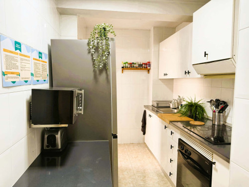 Calle Carlos III - Gallery - 24