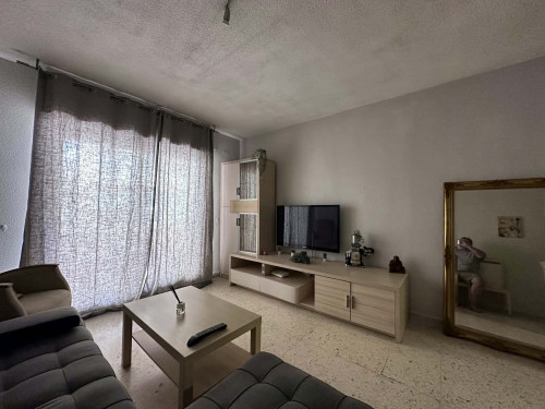 Calle Carlos III  - Gallery -  5