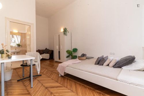 Cozy single bedroom in center of Budapest