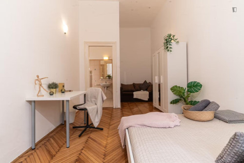 Cozy single bedroom in center of Budapest