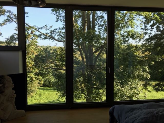  Twin Villa Am Griebnitzsee, Naturschutzgebiet Bäkewiese  -  Twin Villa am Griebnitzsee, Naturschutzgebiet Bäkewiese  - Gallery -  8