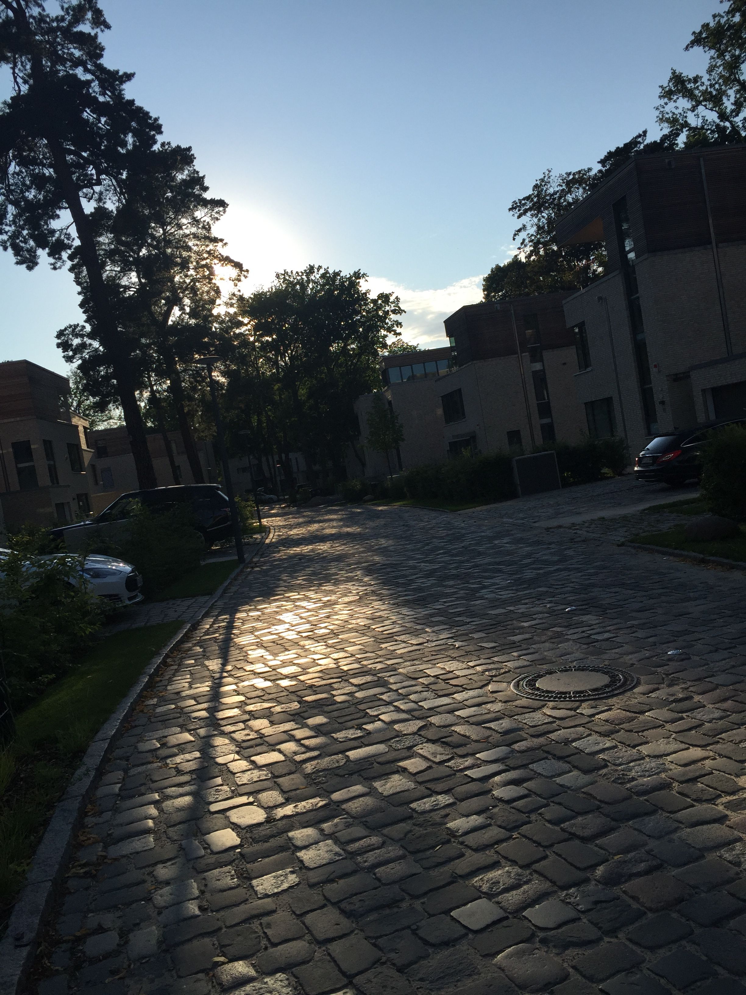  Twin Villa Am Griebnitzsee, Naturschutzgebiet Bäkewiese  -  Twin Villa am Griebnitzsee, Naturschutzgebiet Bäkewiese  - Gallery -  9