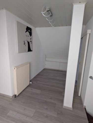 Premium Fully Furnished Home with Balcony - Idyllic Nature Location in Hanau-Wilhelmsbad - Gallery - 25