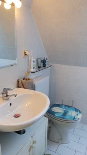 Premium Fully Furnished Home with Balcony - Idyllic Nature Location in Hanau-Wilhelmsbad - Gallery - 20