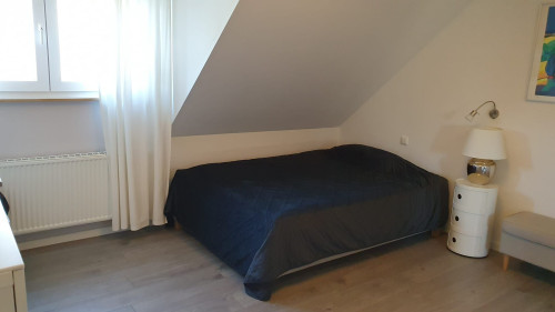 Premium Fully Furnished Home with Balcony - Idyllic Nature Location in Hanau-Wilhelmsbad - Gallery - 13
