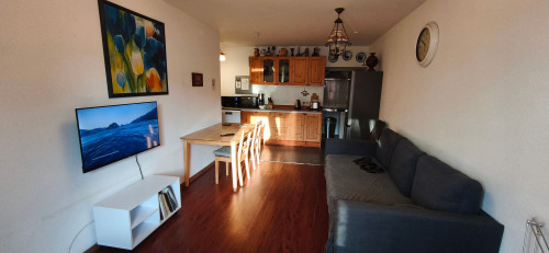 Beautiful and bright loft in Offenbach am Main
