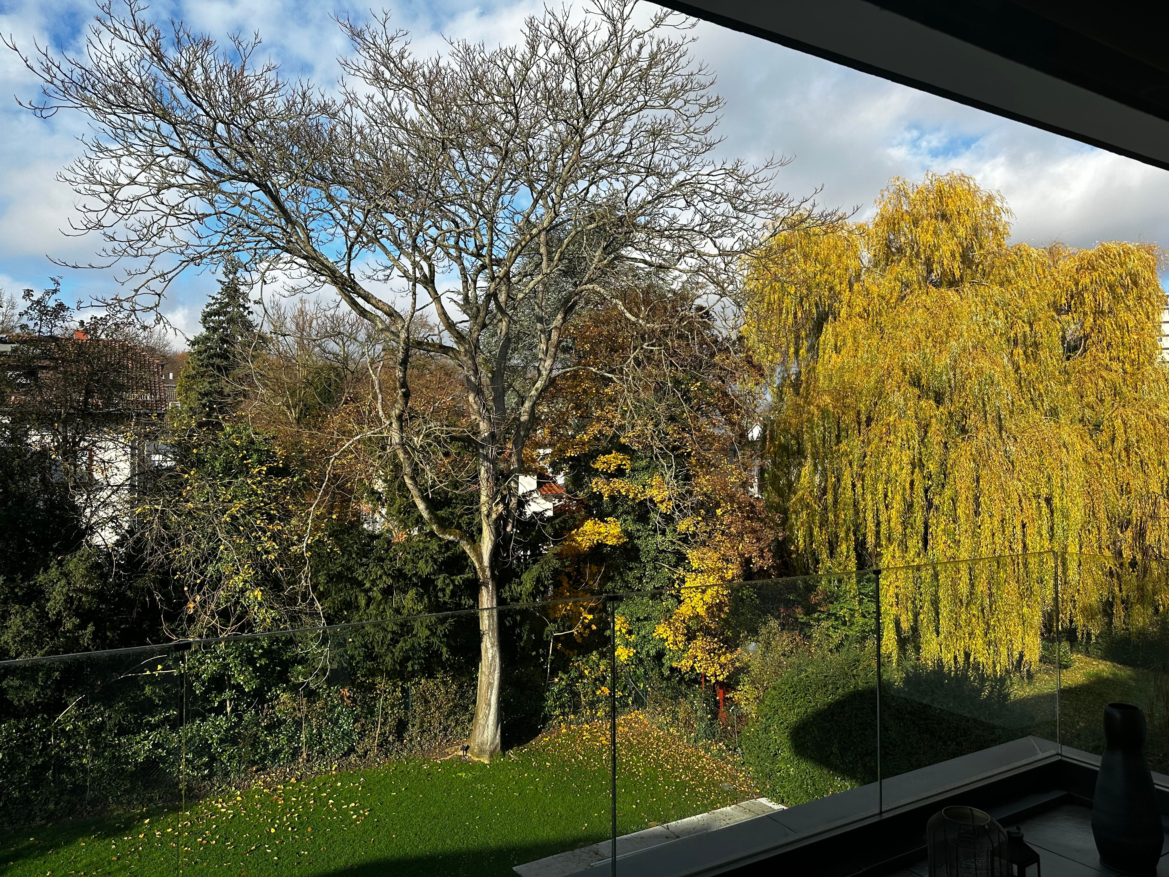 Luxury Penthouse Living With Panoramic Views Frankfurt Area– Fully Furnished - 28