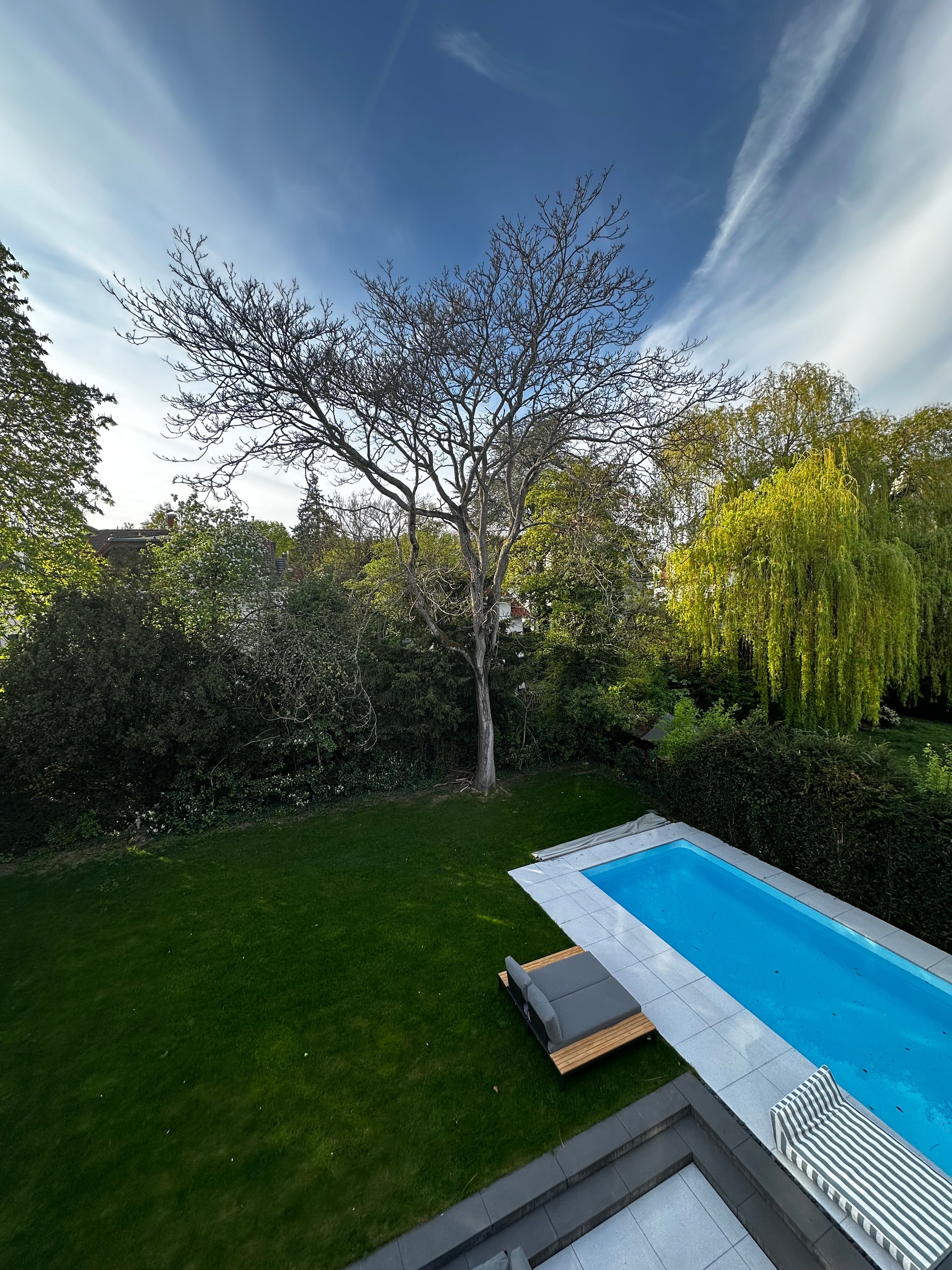 Luxury Penthouse Living With Panoramic Views Frankfurt Area– Fully Furnished - 3