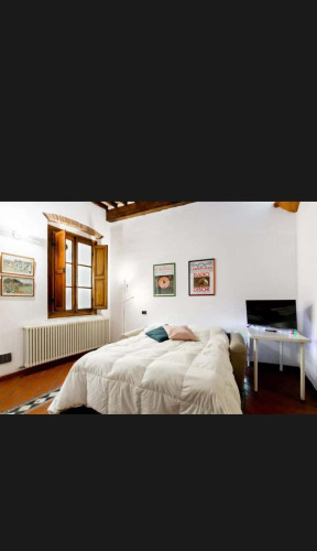 via San Martino 95, Pisa - Gallery - 6