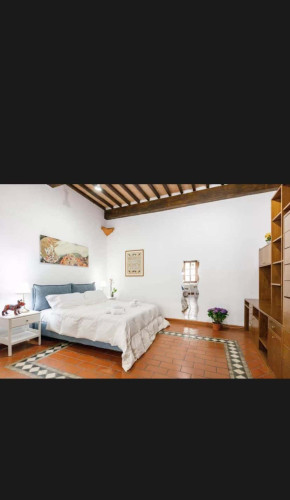 via San Martino 95, Pisa - Gallery - 7