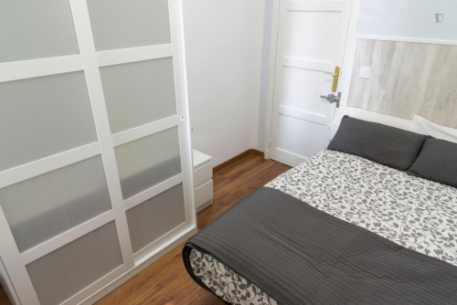 Beautiful double bedroom close to Atocha train station