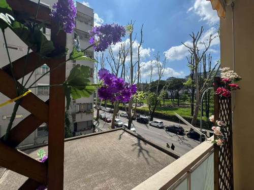 069 - Accademie - Studio in the Green Roma