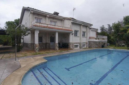 Comfortable single bedroom not far from Universidad Europea de Madrid - Gallery - 13