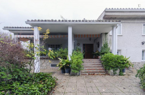 Comfortable single bedroom not far from Universidad Europea de Madrid - Gallery - 18