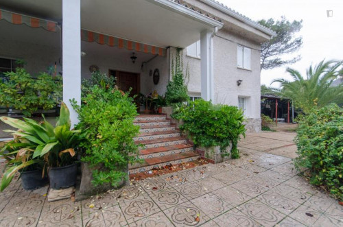 Comfortable single bedroom not far from Universidad Europea de Madrid - Gallery - 21