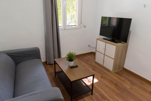 Fantastic double bedroom close to Universidad Europea de Madrid  - Gallery -  5