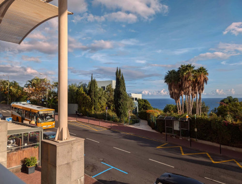 1BDR Apartment in Funchal - Gallery - 10