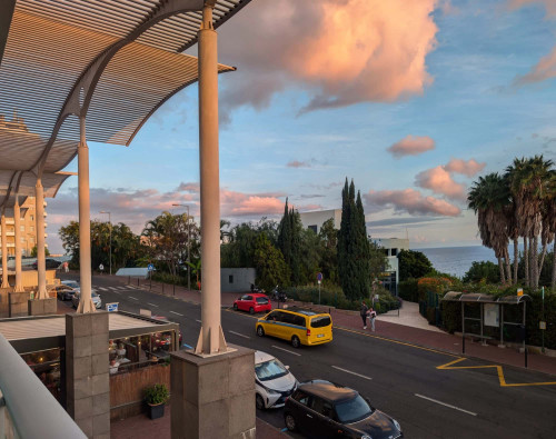 1BDR Apartment in Funchal - Gallery - 13
