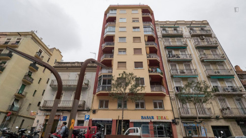 Lovely double ensuite bedroom in a 5-bedroom apartment near Mercat Nou metro station