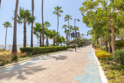 Estepona DownTown Near The Beach - Gallery - 3