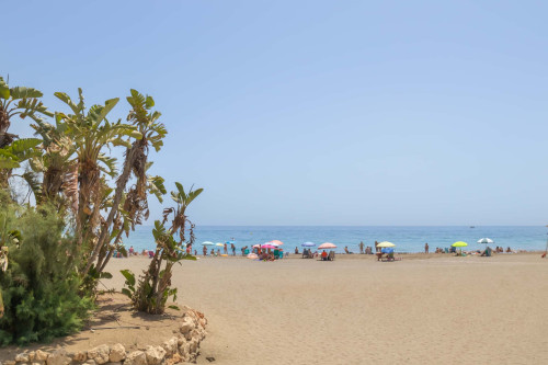 Estepona DownTown Near The Beach - Gallery - 4