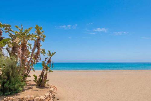 Estepona DownTown Near The Beach - Gallery - 18