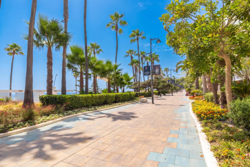 Estepona DownTown Near The Beach - Gallery - 17