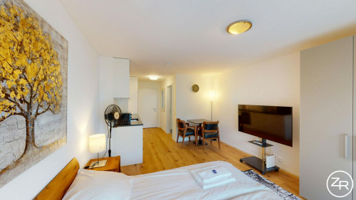 Sonneggstrasse, Zürich