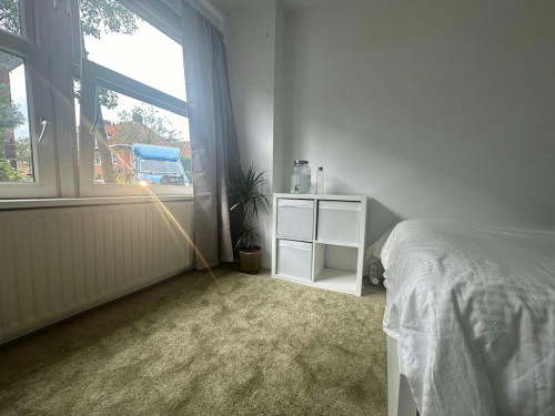 Aurikelstraat, Amsterdam