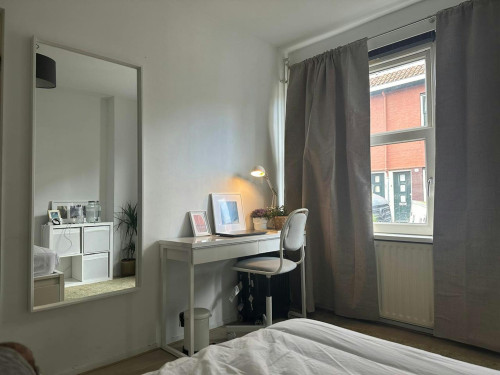 Aurikelstraat, Amsterdam  - Gallery -  5