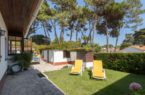 Charming House and Terrace - Gallery - 58