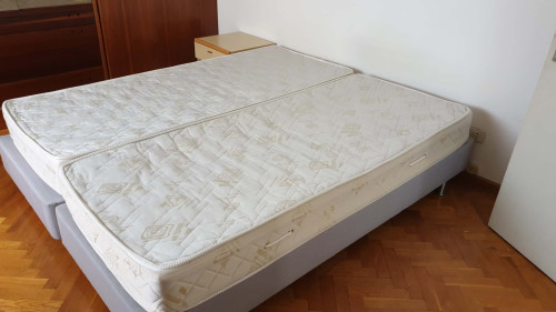 A6/S1 - Two Bed in Rooms for 1 student in apartment in Le Albere, Trento