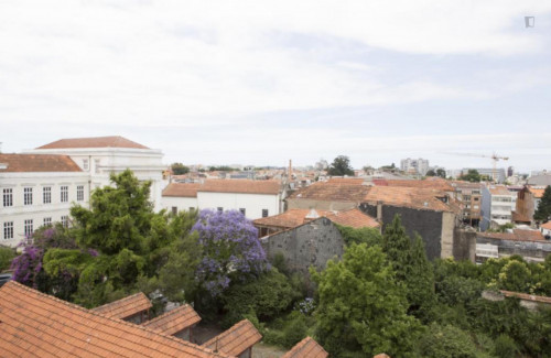 Lovely studio near ESMAE - Escola Superior de Música, Artes e Espectáculo
