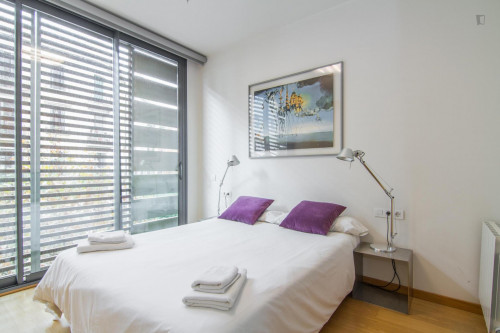 Fantastic 3-bedroom apartment near the Arc de Triomf