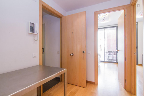 Fantastic 3-bedroom apartment near the Arc de Triomf  - Gallery -  5